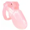  Cage de chasteté Lockea Rose